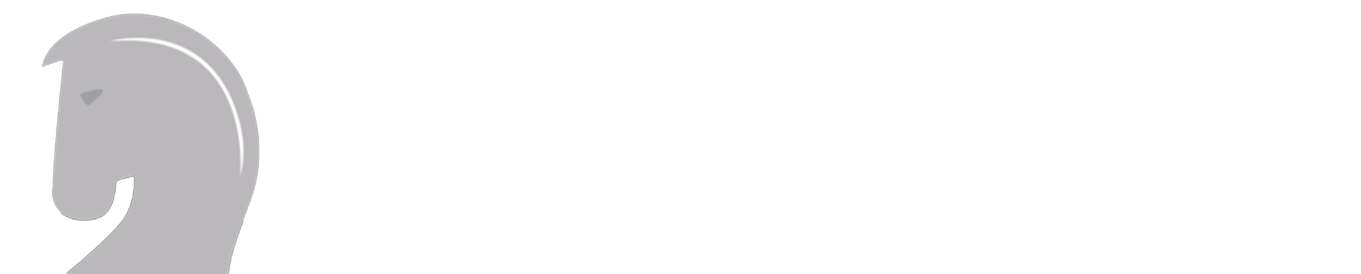 Theron Le Roux Accountants in George Western Cape South Africa